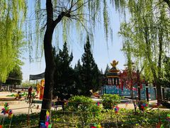 -南宫五洲植物乐园