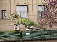 -国家自然博物馆