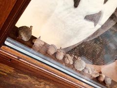 景点-三鹰之森吉卜力美术馆