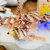 吃海鲜的快乐  老友记海鲜火锅店 真新鲜~性价比很ok[调皮]