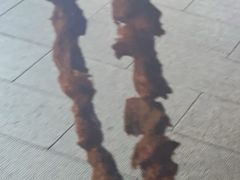 -东关街美食广场