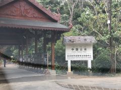 -野象谷景区