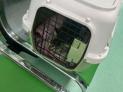 -北京观赏动物医院·24小时大型综合·猫专科·异宠专科