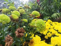 -南山植物园