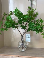 -变美丽半永久纹眉连锁·机器野生眉·洗眉