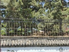 -宾朋海鲜特色美食餐厅·纯手工鲅鱼水饺(兴海路店)