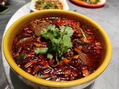 极品毛血旺-红辣椒·川菜·火锅(张杨路店)