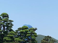 -珠海长隆海洋王国