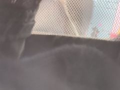 -全心全意连锁动物医院·微创中心·内科急重症·心脏专科(丰管路店)