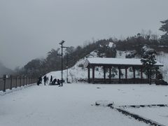 -武陵山森林公园