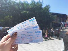 -广东惠东海龟国家级自然保护区