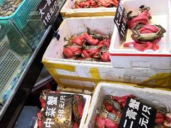 -莲花公园煎蟹(总店)