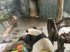 -海南热带野生动植物园