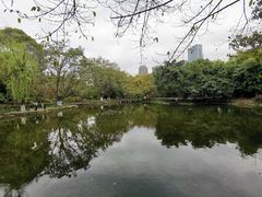 -望江楼公园