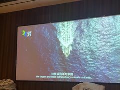 -大桶大足浴(田林路店)