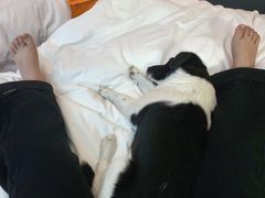 -懒鹿智能电竞酒店(蜀汉路店)