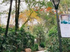 -青城道汤池
