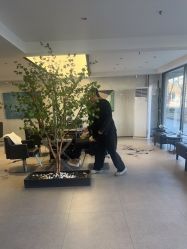 -付军剪艺JF ProSalon