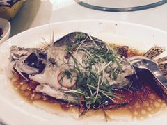 清蒸桂鱼-上海会馆(香港名都店)