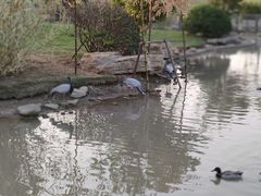 -祥源·阜阳生态乐园