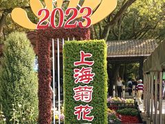 -上海共青森林公园