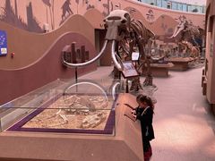 -陕西自然博物馆