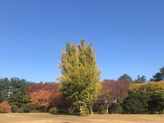 -名古屋城