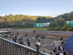 -深圳野生动物园