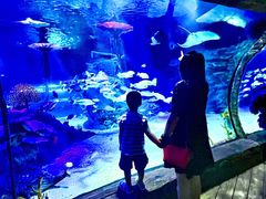 -沈阳海洋探索中心