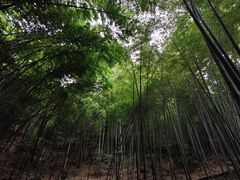 -敬亭山风景名胜区