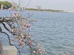 -无锡蠡湖国家湿地公园-蠡园