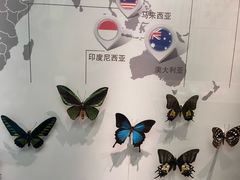 -天津自然博物馆