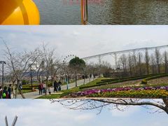 -金卉庄园