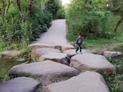 -新江湾城公园