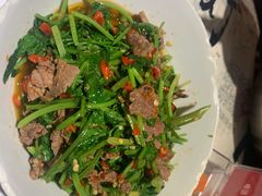 -壹盏灯(惠农店)