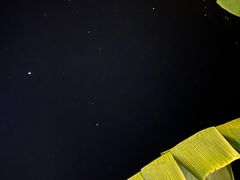 -Torch Coffee 炬点咖啡