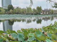 -无锡蠡湖国家湿地公园-蠡园