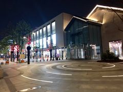 -西湖外事游船(湖滨二公园外事游船码头)