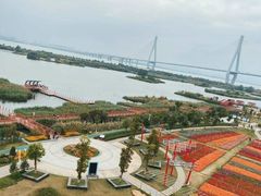 -芒洲湿地公园