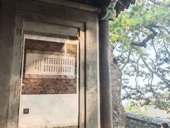 -阳台山自然风景区