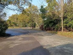 -胜华驾校·小猫学车(银都店)