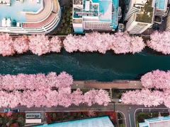 -涩谷区