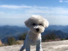 -白草畔自然风景区