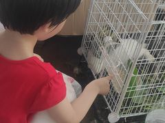 -马陆小张葡萄园农家乐