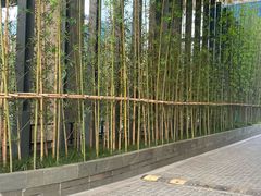 -上海璞麗酒店