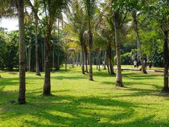 -中国科学院西双版纳热带植物园