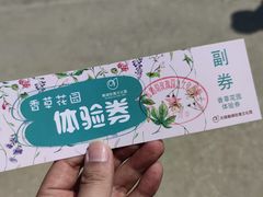 -鹅湖玫瑰文化园