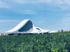 -哈尔滨大剧院