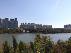 -洛龙公园