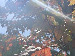 -九鼎铁刹山风景区